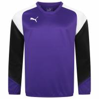PUMA Esito 4 Men Training Sweatshirt 655222-10