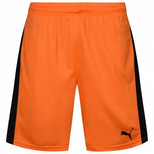 PUMA Pitch Herren Sport Shorts 702072-08