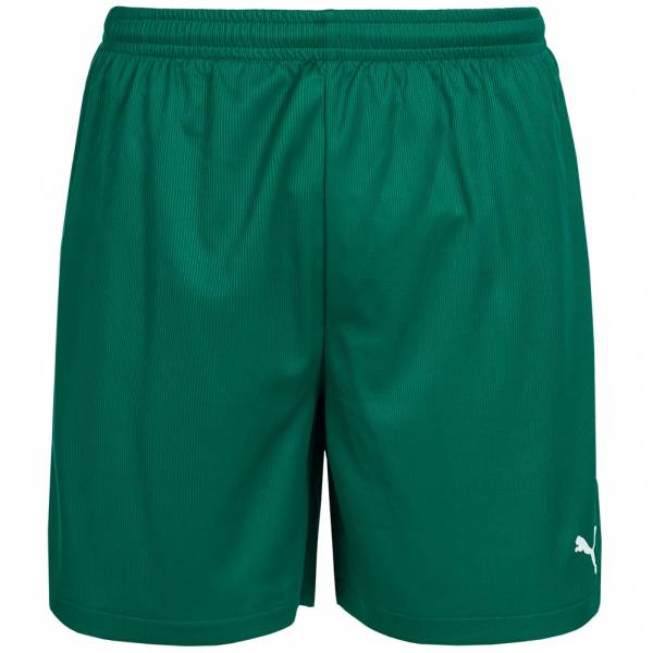 PUMA Vencida Shorts 700789-05
