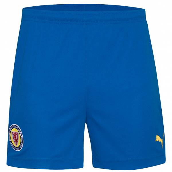 Eintracht Braunschweig PUMA Herren Heim Shorts 700266-16
