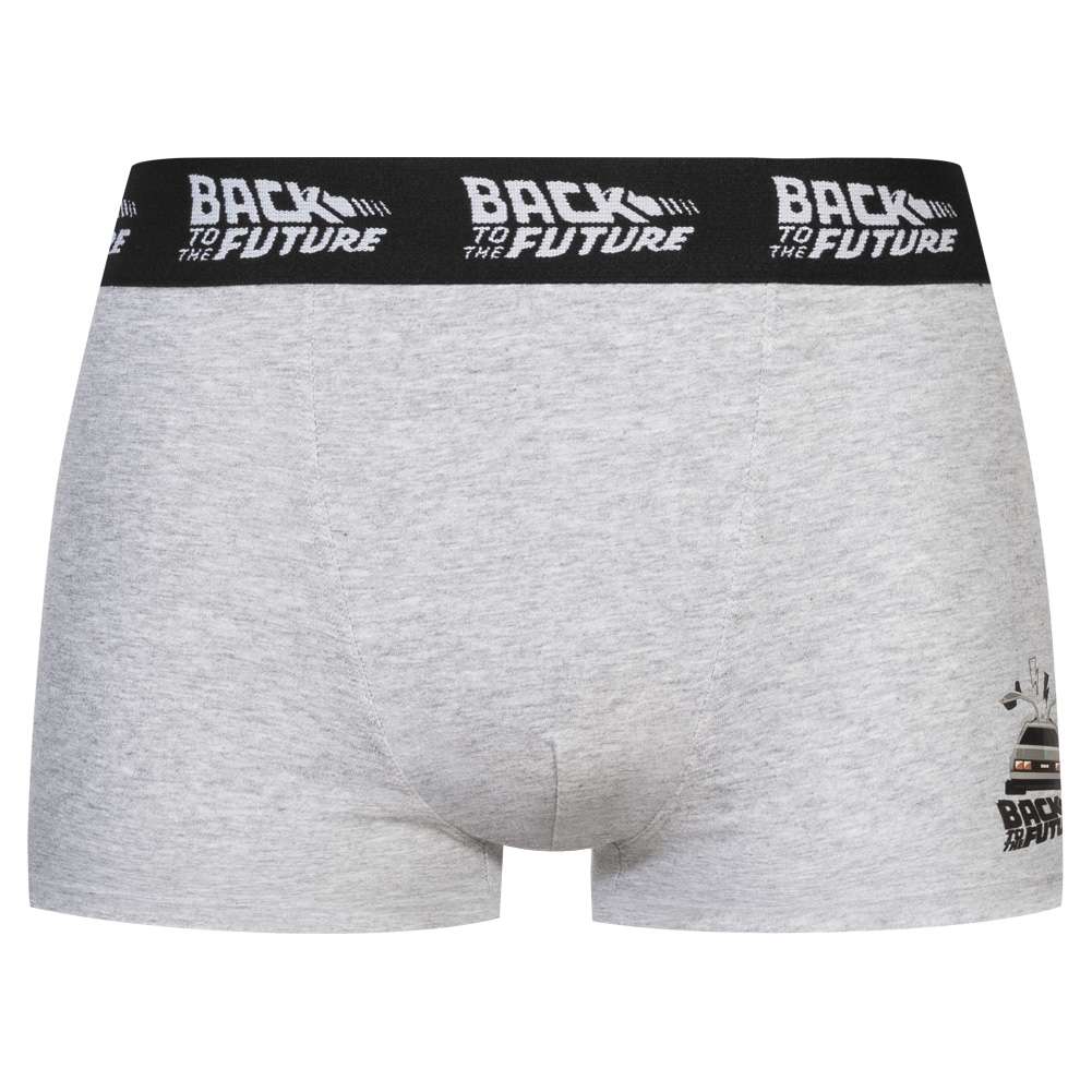 Back to the Future Men Boxer Shorts Pack of 4 92890630 | SportSpar.com