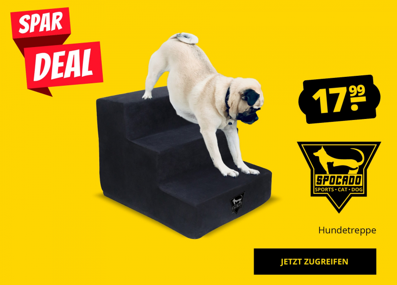 SPOCADO Hundetreppe nur 17,99 €!