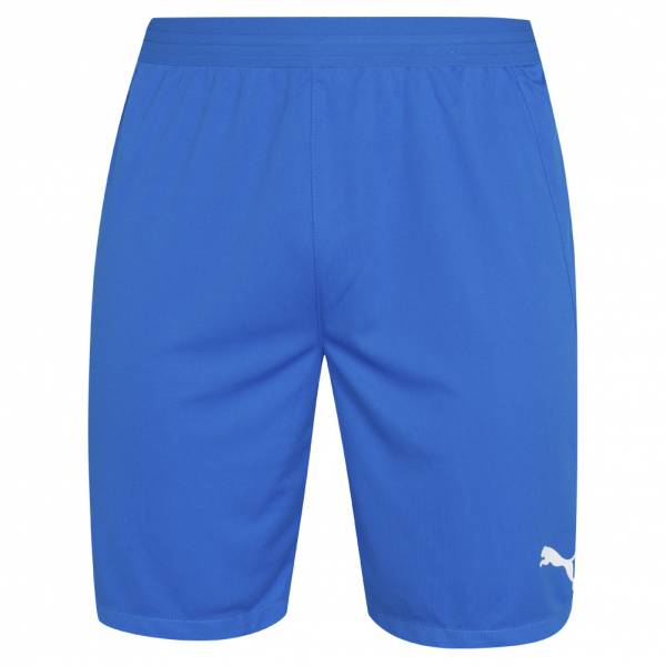 PUMA teamFINAL Herren Shorts 704257-02