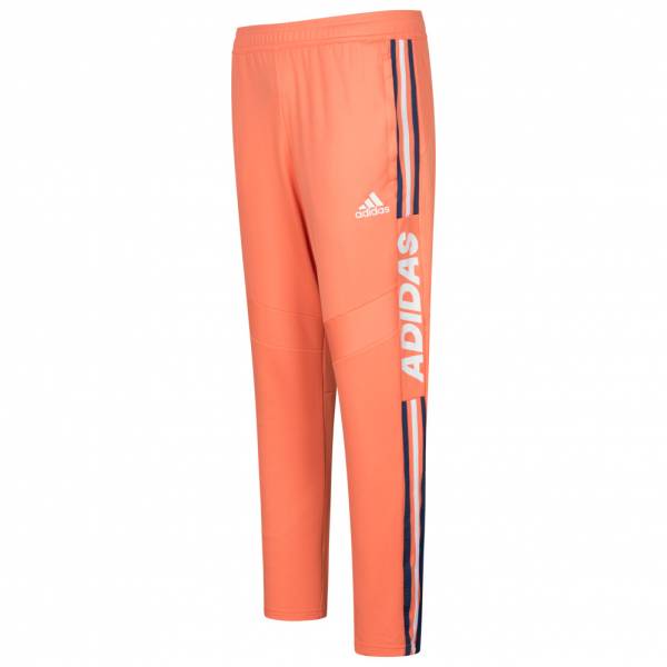 adidas Tiro 19 Hombre Pantalones de chándal GE4797