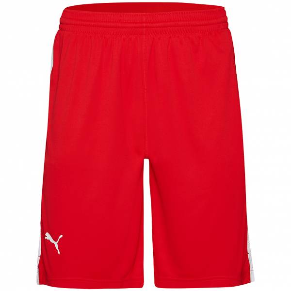 PUMA Herren Basketball Shorts 582459-01