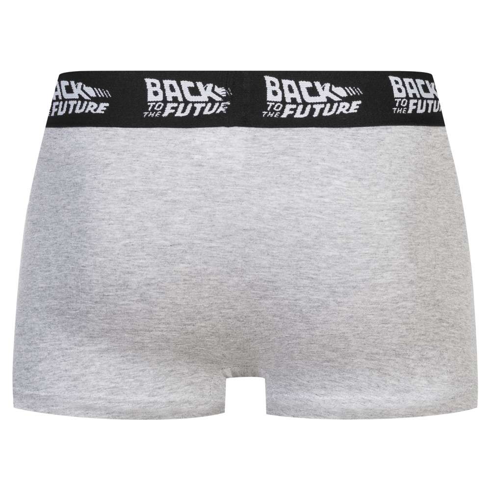 Back to the Future Men Boxer Shorts Pack of 4 92890630 | SportSpar.com