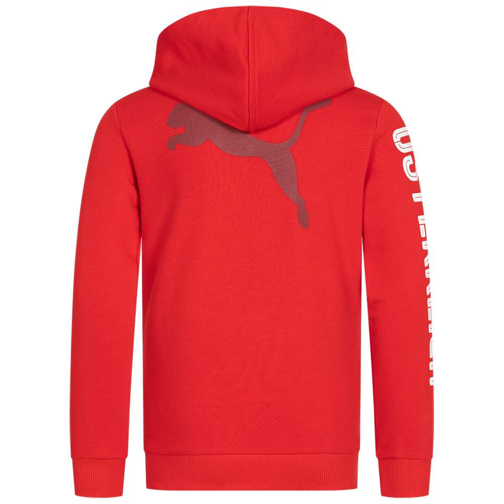 Puma tetris hoodie online