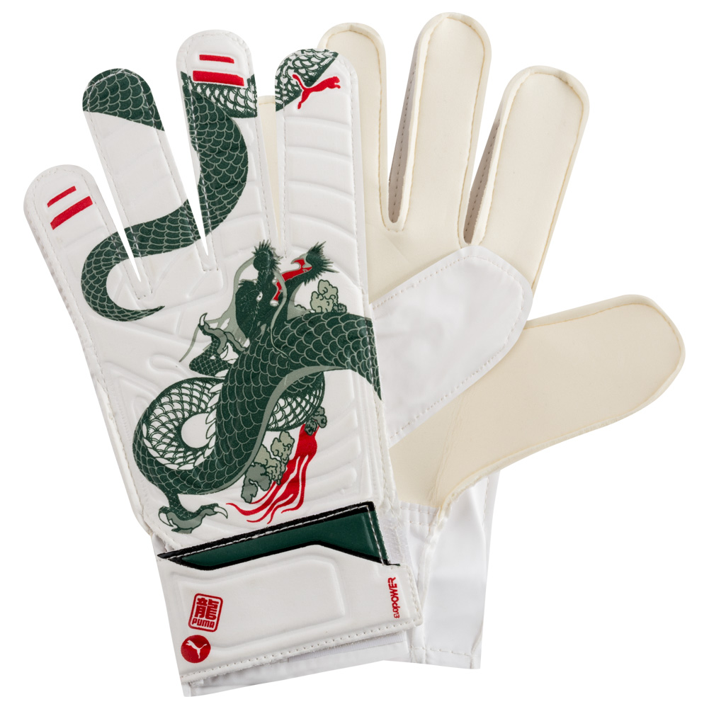 guanti da portiere puma